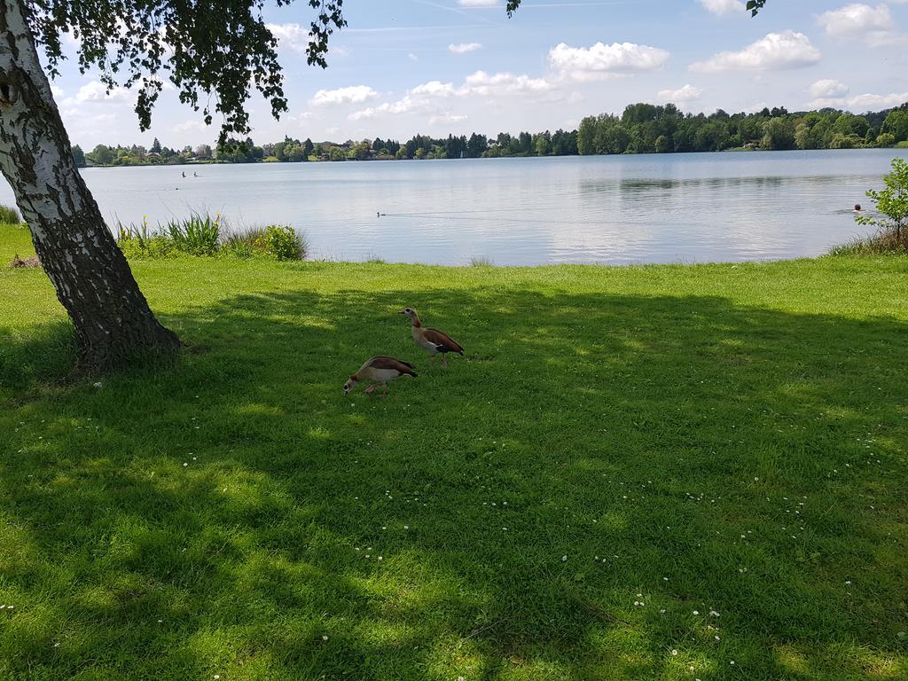 Ferienhaus Am See Hungen 외부 사진